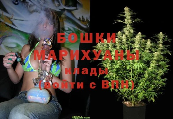 PSILOCYBIN Снежногорск