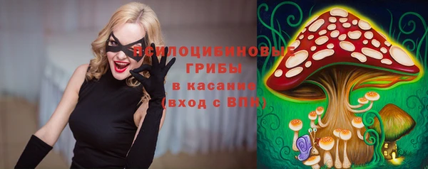PSILOCYBIN Снежногорск