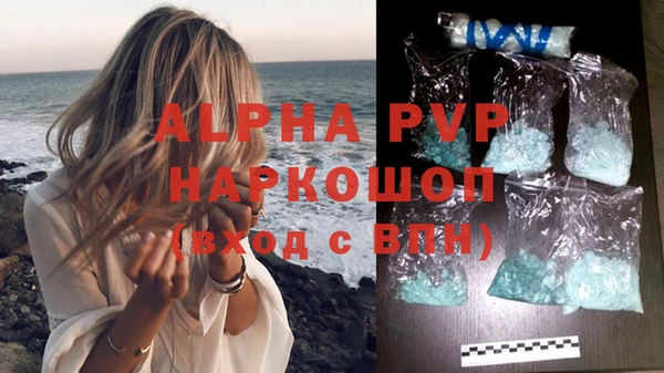 PSILOCYBIN Снежногорск