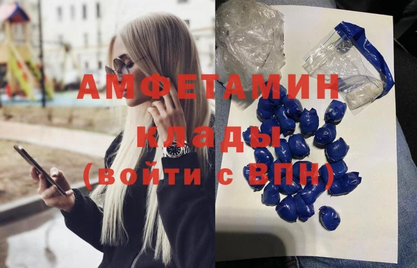PSILOCYBIN Снежногорск