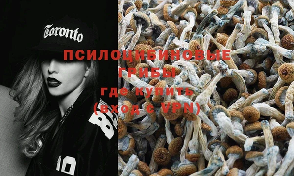 не бодяженный Слюдянка