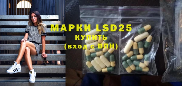 PSILOCYBIN Снежногорск