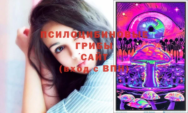 PSILOCYBIN Снежногорск