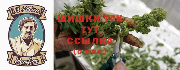 PSILOCYBIN Снежногорск