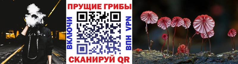 Псилоцибиновые грибы MAGIC MUSHROOMS  Фрязино 