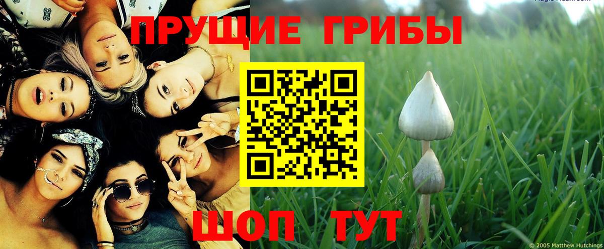 Фрязино  Галлюциногенные грибы ЛСД  Вход с VPN 